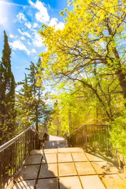 Территория