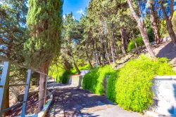 Территория