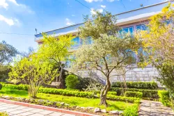 Территория