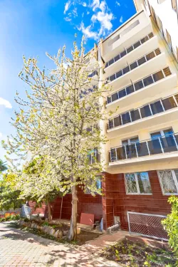 Территория