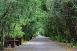 Территория