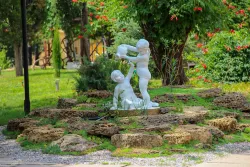 Территория