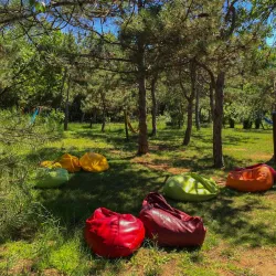 Территория