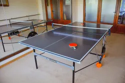 Настольный теннис
