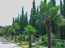 Территория