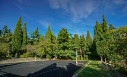 Территория