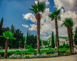 Территория