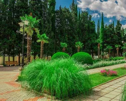 Территория