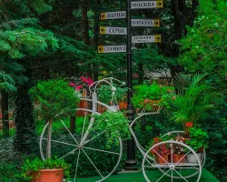 Территория