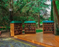 Территория