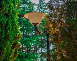 Территория