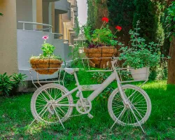 Территория