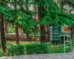 Территория