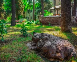 Территория