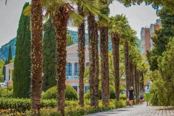 Территория