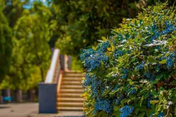 Территория