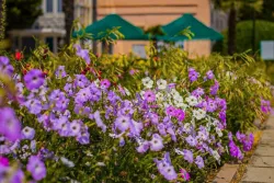 Территория