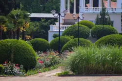 Территория