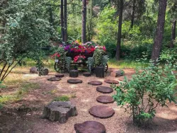 Территория