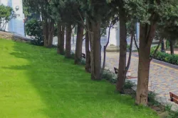 Территория