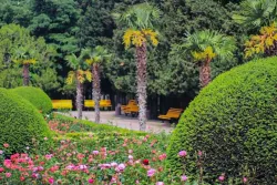 Территория