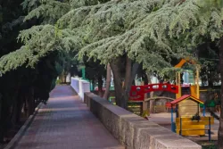 Территория