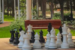 Шахматы на территории
