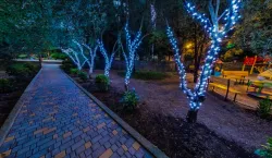 Территория