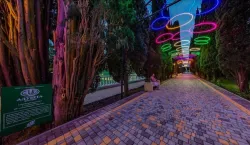 Территория