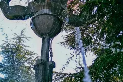 Территория