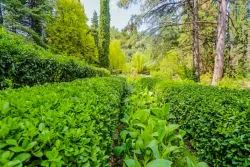 Территория