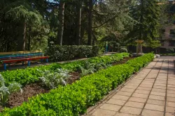 Территория