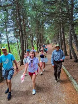 Совместные прогулки