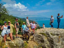 Совместные прогулки