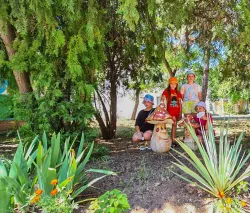 Развлечения для детей