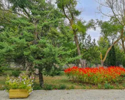 Территория