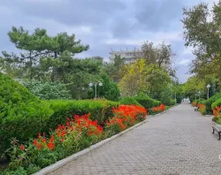 Территория