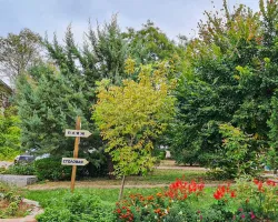 Территория