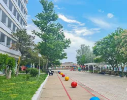 Территория