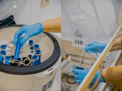 Лабораторные исследования