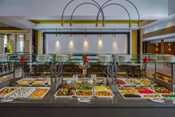 Шведский стол «PALMS»