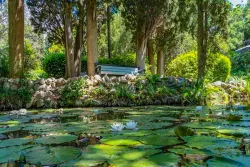 Территория