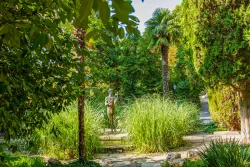 Территория