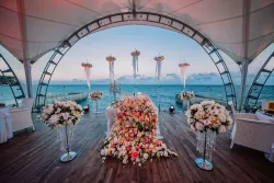 Проведение свадеб и праздников