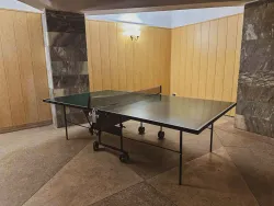 Настольный теннис Настольный теннис