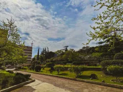 Территория