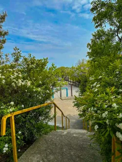 Территория