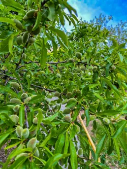 Территория