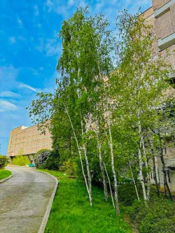 Территория