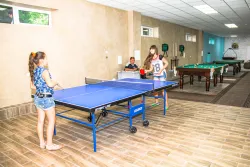 Настольный теннис